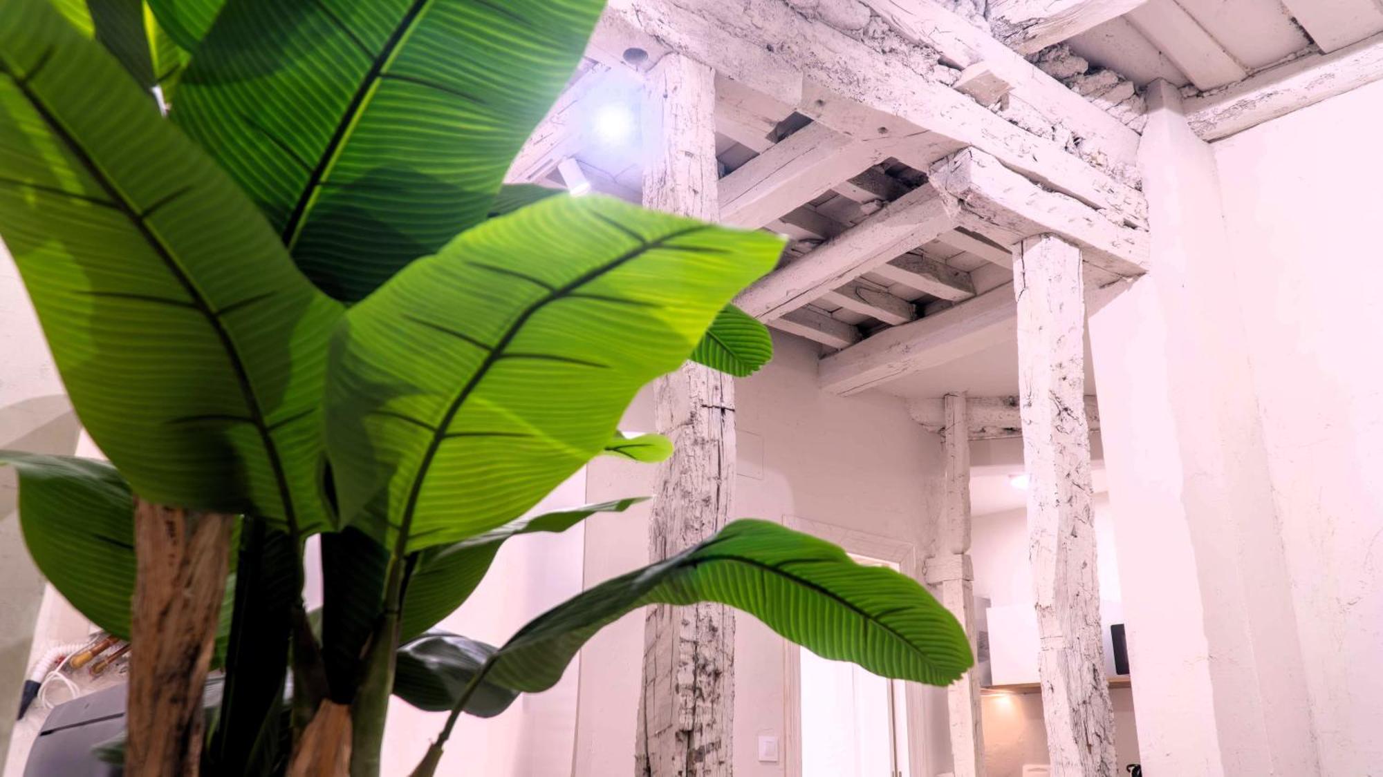 Apartamentos Carolina By Gaiarooms Leon Ngoại thất bức ảnh